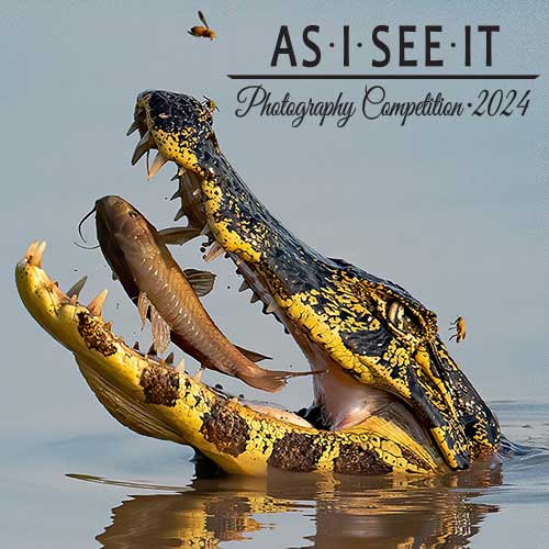 As I See It Photo Contest 2024