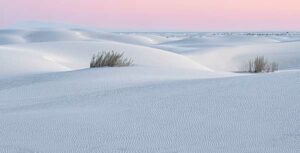 Morning in the Dunes by Reena Walkling