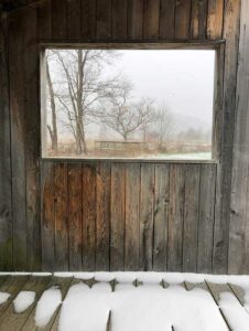 Winter Window by Gladys Vega